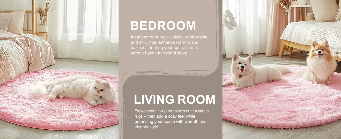 Bedroom & Living Room