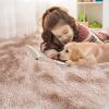 imageOLANLY Area Rugs for Living Room Bedroom Machine Washable 4x59 Feet Soft Fluffy Shaggy Bedside Rug Indoor Floor Carpet for Kids Girls and Boys Dorms Nursery Room Home Decor Aesthetic RainbowBeige Tiedye